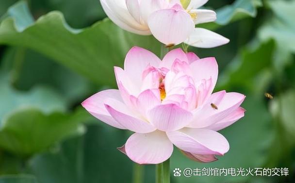 微信消息不提示