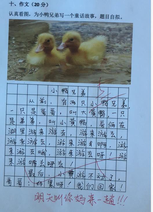 抓鸭子的故事