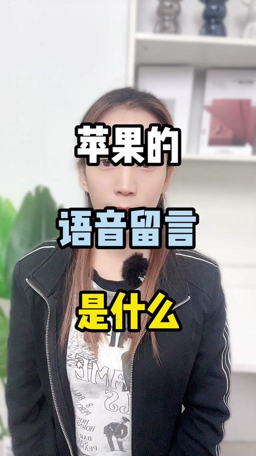 苹果16突然多了个语音留言