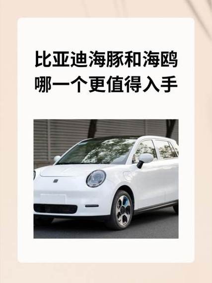 海鸥和海豚哪个好