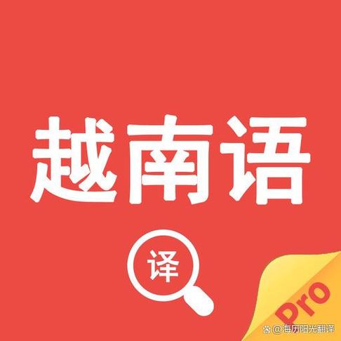中越在线翻译
