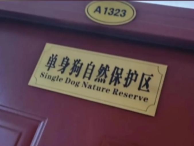 猛男妙妙屋是什么意思