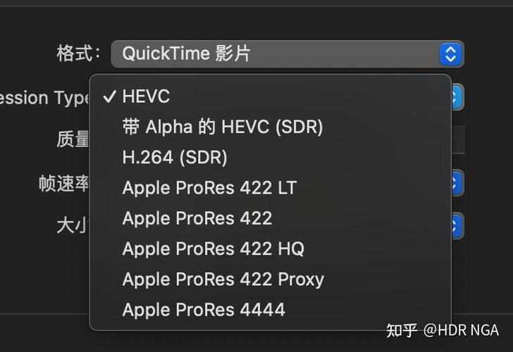 苹果视频导出单帧照片