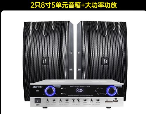 先科sast音响说明书