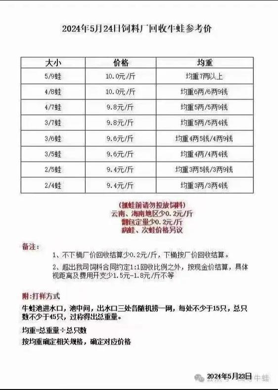 牛蛙价格今日价一斤