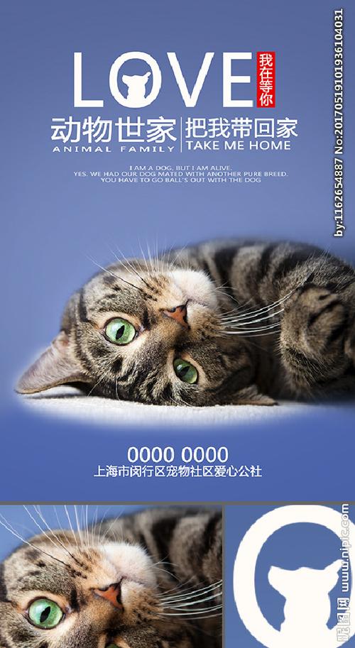 小猫咪创意广告词