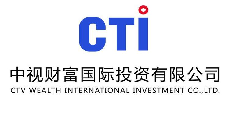 中视财富国际投资集团