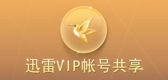 迅雷vip破解版 安卓