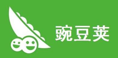 抖音极速版历史版本大全豌豆荚