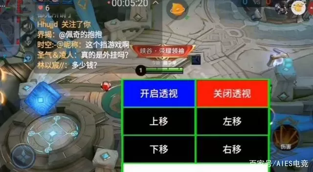 王者全图透视挂下载