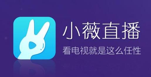 小薇TV电视版官网