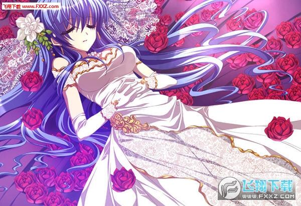 darkblue安卓直装汉化版