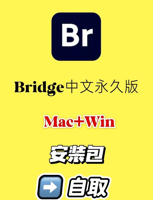 bud国际服最新版2024