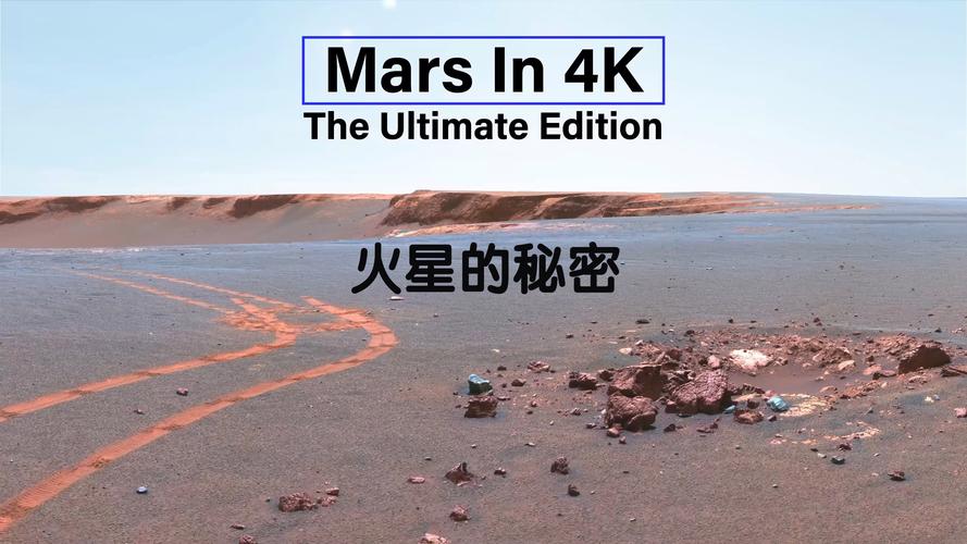 火星视频最新版