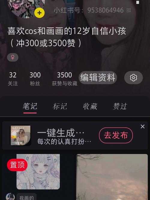 迷妹300分享至死