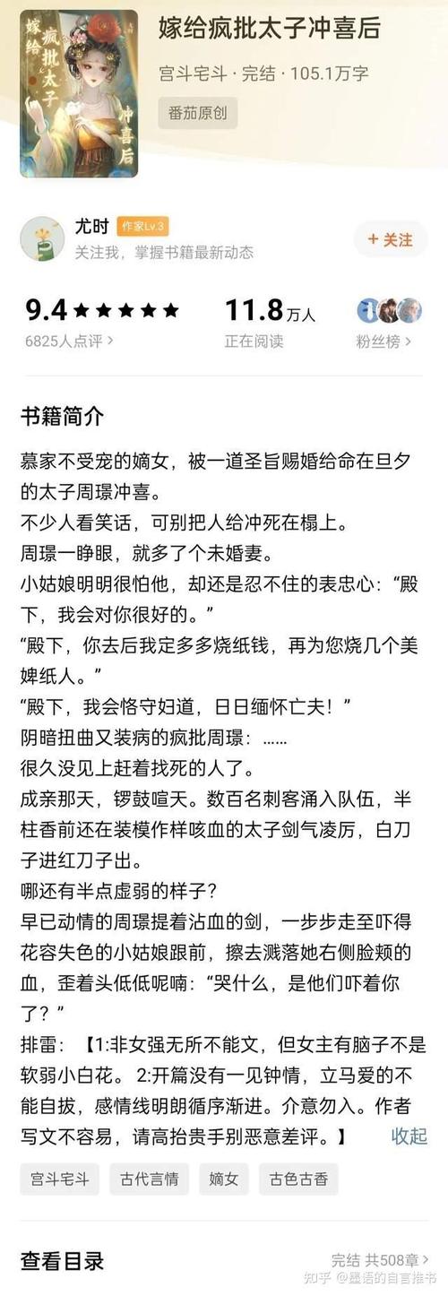 汤圆小说