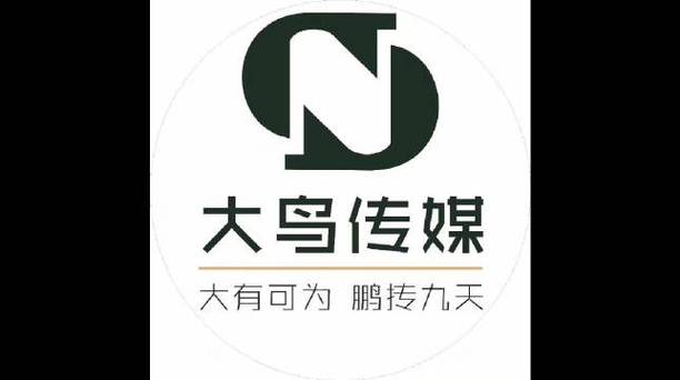 大鸟传媒