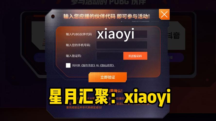 星空接码官网版