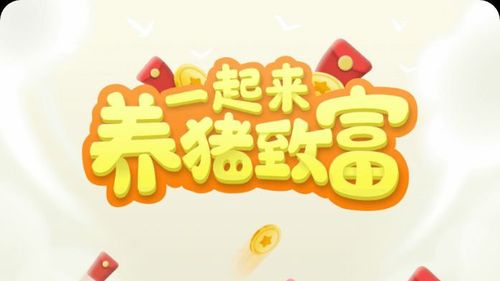 一起来养猪赚钱