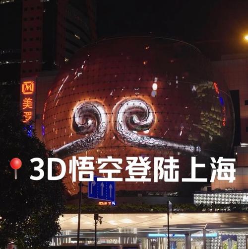 悟空打卡app