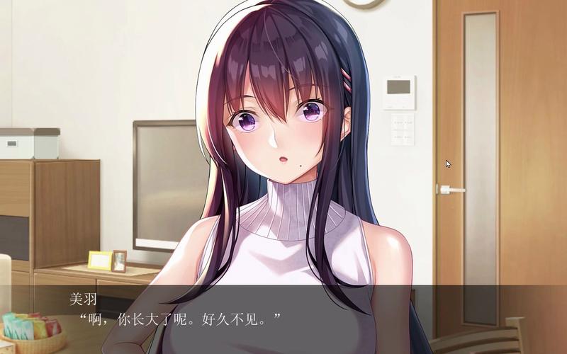 请停手吧姐姐大人要断了