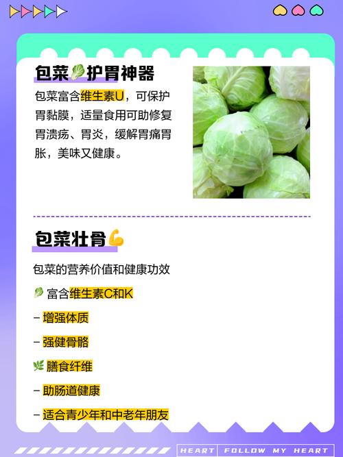 包菜资讯v1.0