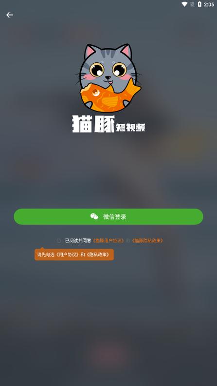 猫豚短视频正版