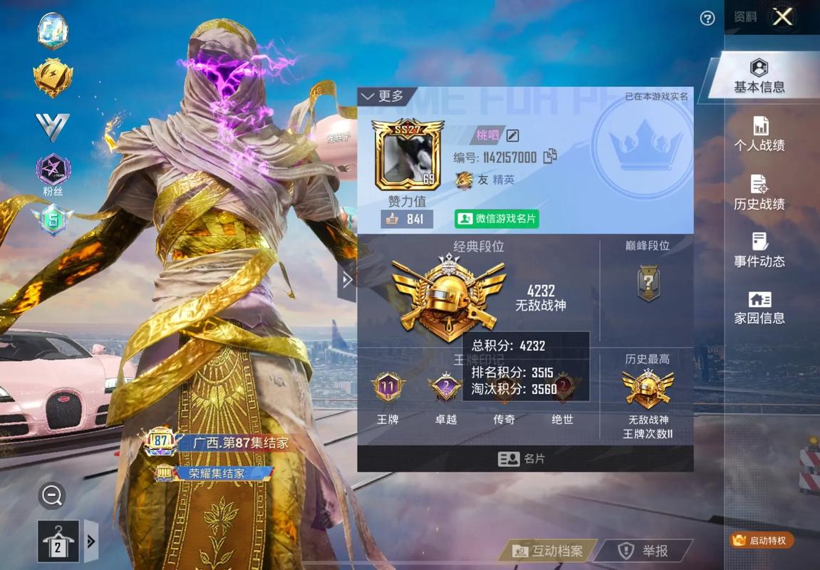 hz888top. 和平精英