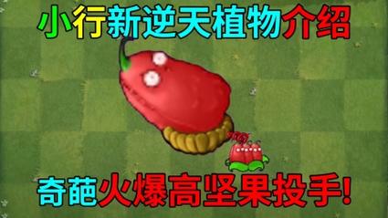 植物大战僵尸红色坚果修改器