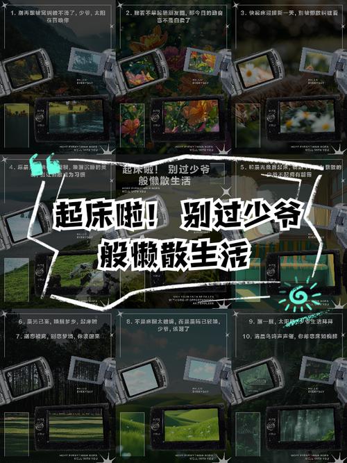 与懒散同学的生活安卓版