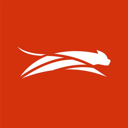 猎豹快玩(手机试玩赚钱)