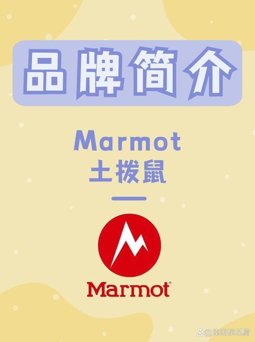 土拨鼠语音APP