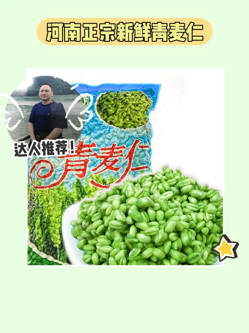青麦QIMAI