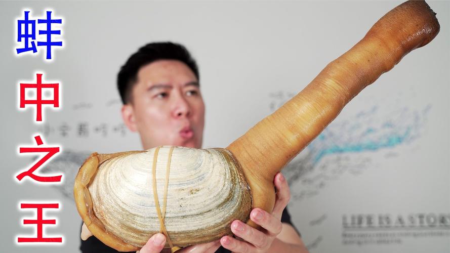 象拔蚌视频