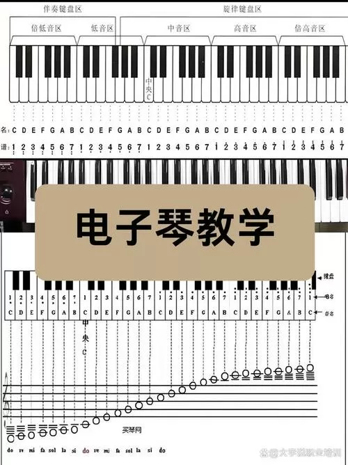 61键电子琴入门教程