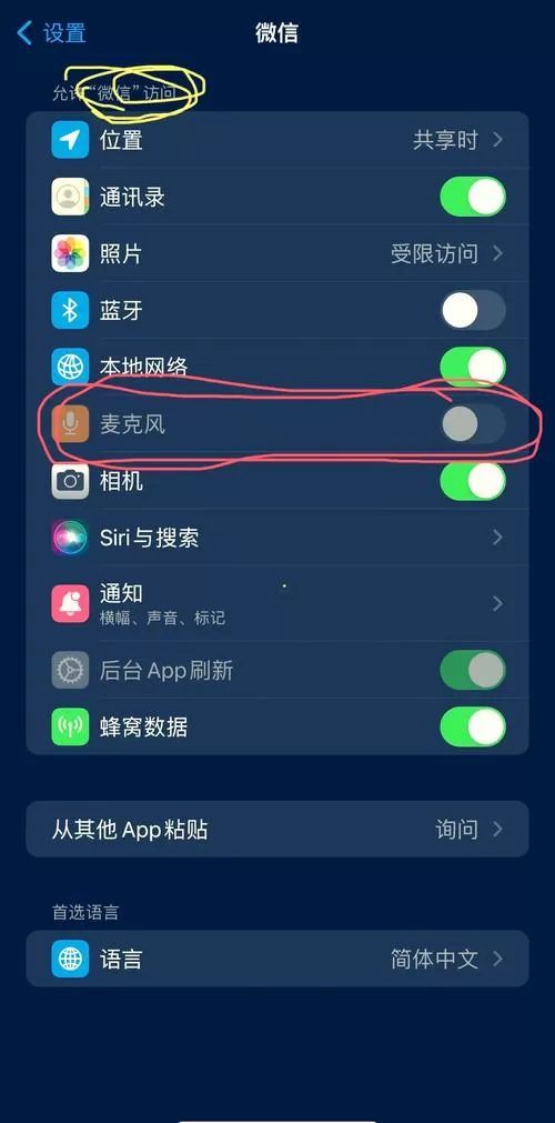iphone设置麦克风权限