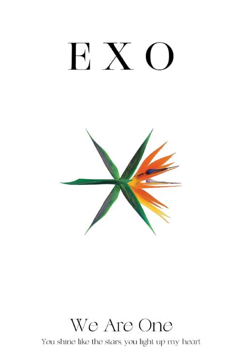 EXO橙光游戏制霸免费