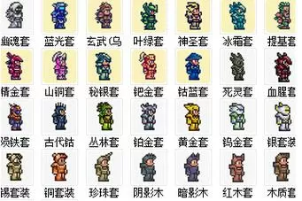 泰拉瑞亚提基套