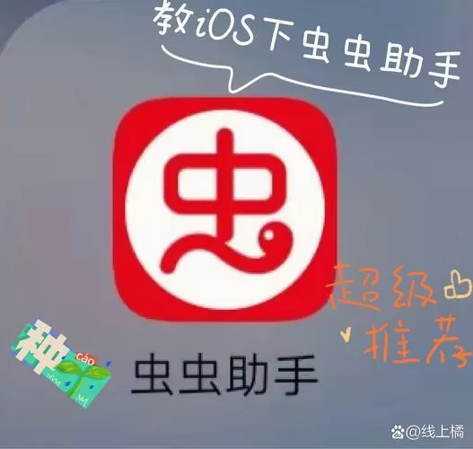 虫虫助手为什么下载不了