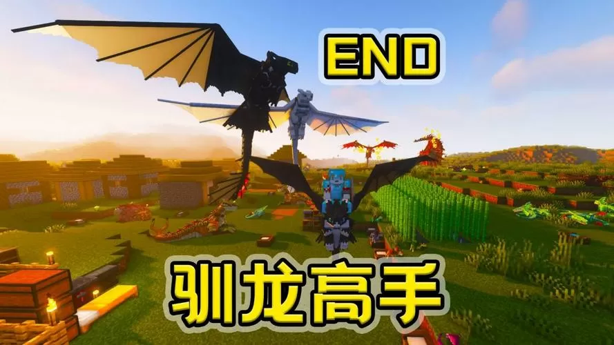 我的世界驯龙高手模组下载