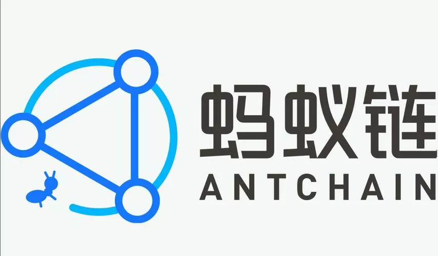 蚂蚁链代币1万是多少钱