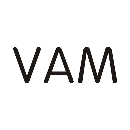VAM汉化版下载手机