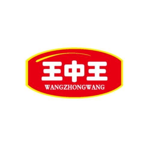 香港免费资料+王中王