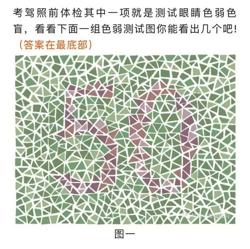 测色弱图片国家标准版带答案