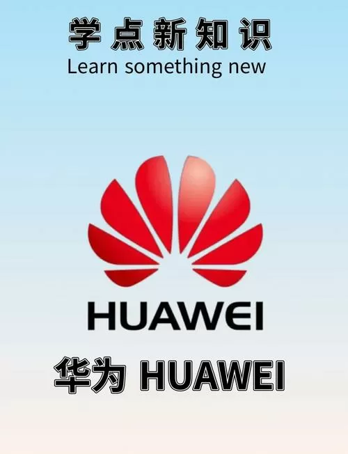 华为国际版和国内版有什么区别