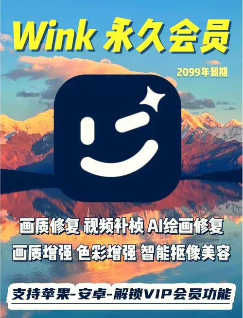 wink破解版,解锁永久VIP