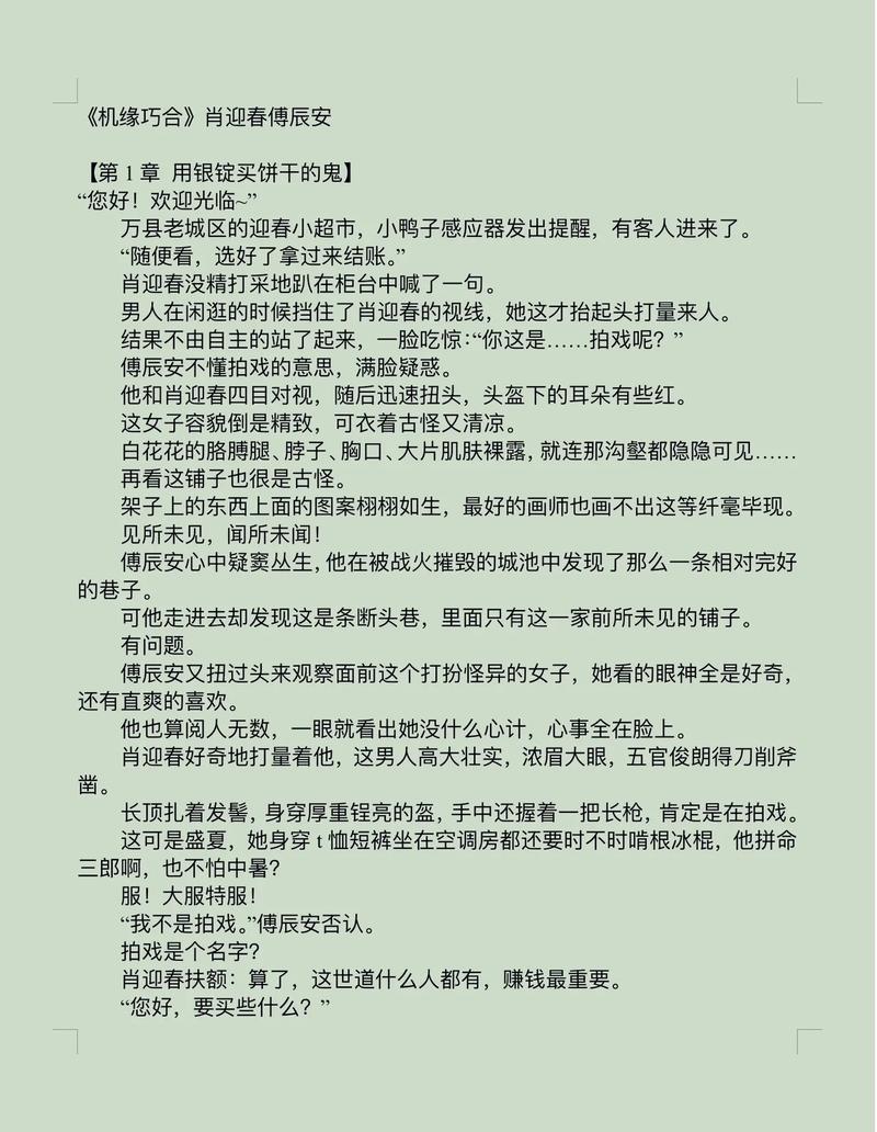 时空超市肖迎春傅辰安小说阅读免付费