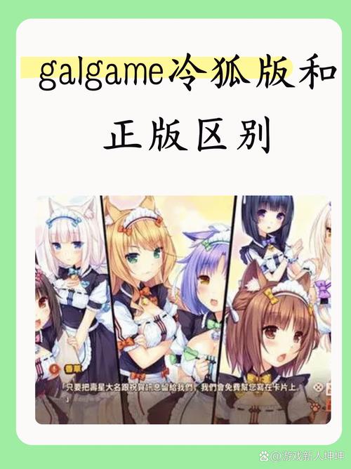 冷狐移植绅士游戏官网直装