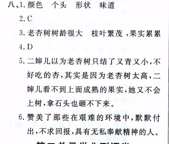 杏子阅读理解答案