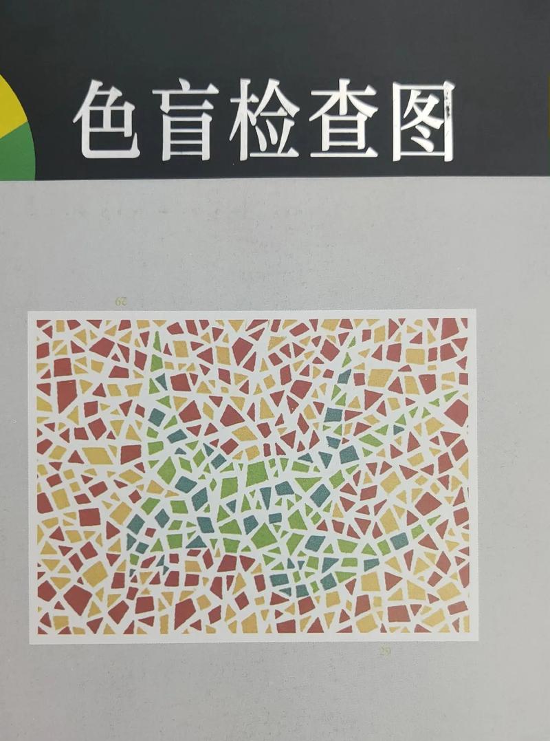 色盲检查图第六版pdf
